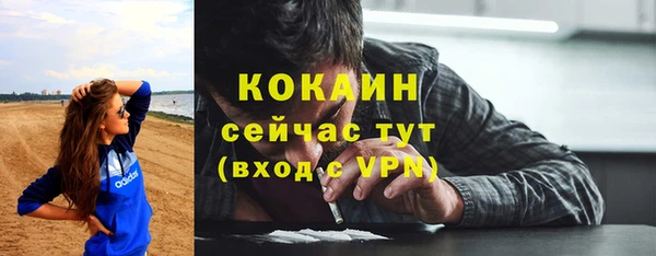 сатива Володарск