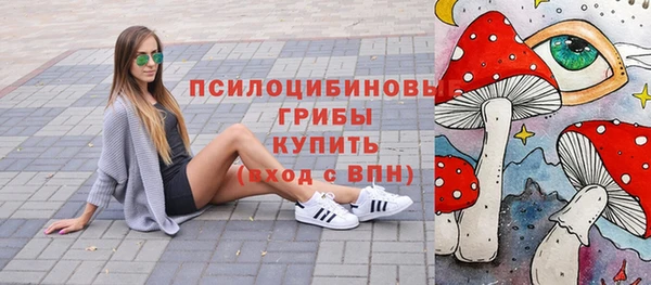 мдпв Верхний Тагил
