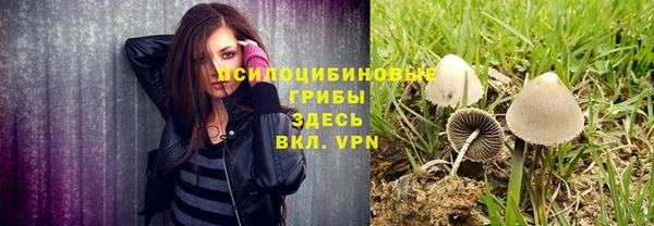 мдпв Верхний Тагил
